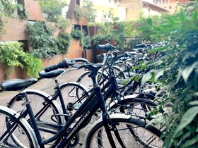 Best Western Plus Park Hotel