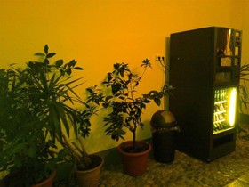 B&B Baiamonti