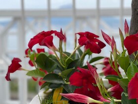 Relais Manfredi Hotel & Restauranat