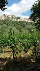 Agriturismo Valle degli Ulivi