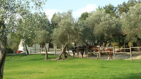 Agriturismo Valle degli Ulivi