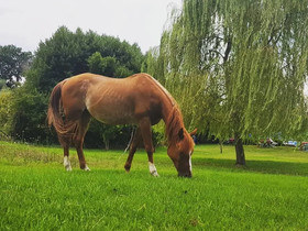 Agriturismo Valle degli Ulivi
