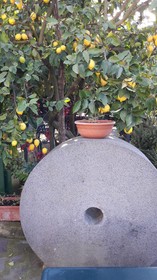 Agriturismo La Lobra