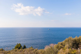 Isabella Massalubrense