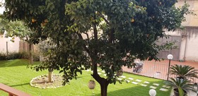 A Due Passi Dal Museo