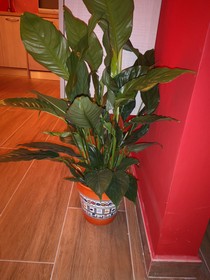 A Due Passi Dal Museo