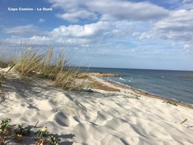 B&b Neapolitan Terrace