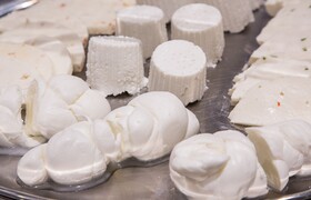 Best Western Hotel Plaza