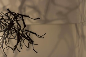 Casa Latina Bed and Breakfast