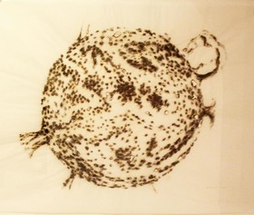 Culture Hotel Centro Storico