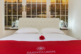 Essential Suite B&B Botanic