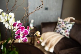 Gold Tower Lifestyle Hotel