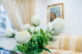 Le Berceau Di Salvatore De Tommaso