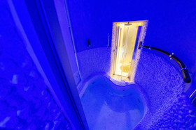 Leone Camere D'autore