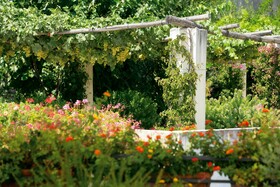 San Francesco al Monte