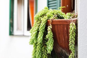 Terrazza Dei Principi
