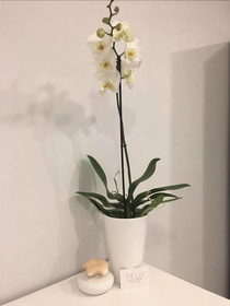 The Lux Napoli Mergellina