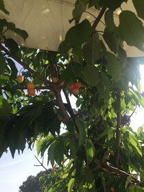 Zia Bi Bed And Breakfast