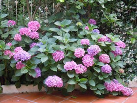 Certe Notti Bed & Breakfast