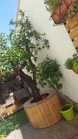 V&V Suite & Breakfast