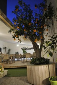 V&V Suite & Breakfast