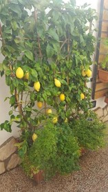 V&V Suite & Breakfast