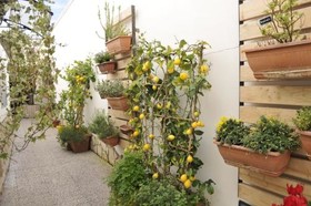 V&V Suite & Breakfast