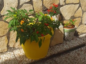 V&V Suite & Breakfast