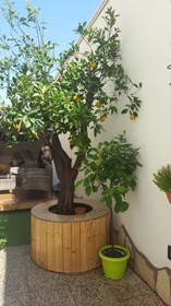 V&V Suite & Breakfast