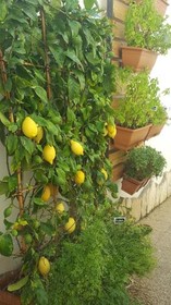 V&V Suite & Breakfast