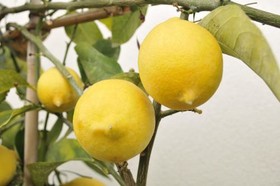 V&V Suite & Breakfast