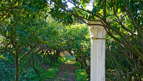 Tenuta Convivium Cuma