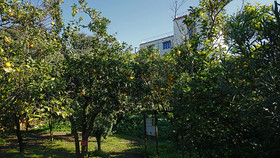 Tenuta Convivium Cuma