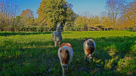 Tenuta Convivium Cuma