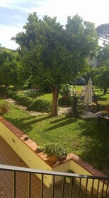 B&B Massico Apartments