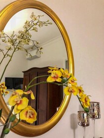 B&B Massico Apartments