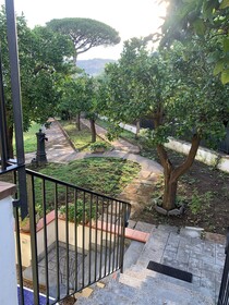 B&B Massico Apartments