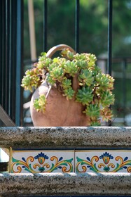 B&B Massico Apartments