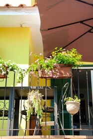 B&B Massico Apartments