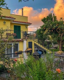 B&B Massico Apartments