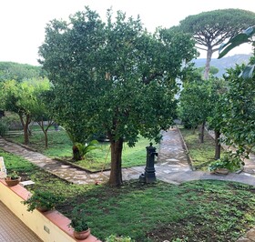 B&B Massico Apartments