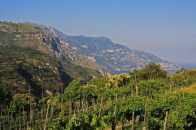 Villa La Pietra Verde