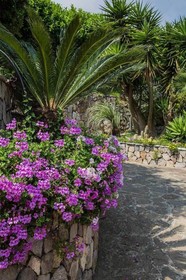 Villa La Pietra Verde