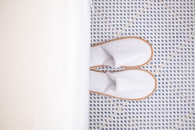 Antico Palazzo Scala