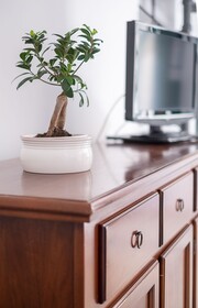 Antico Palazzo Scala