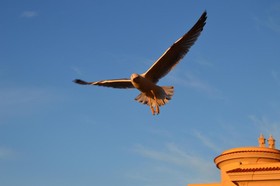 Hotel Central Wellness