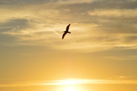 Hotel Central Wellness