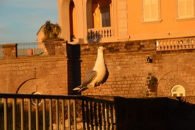 Hotel Central Wellness