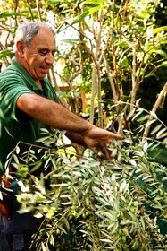 Grand Hotel Excelsior Vittoria