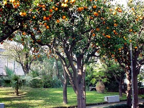 Grand Hotel Excelsior Vittoria